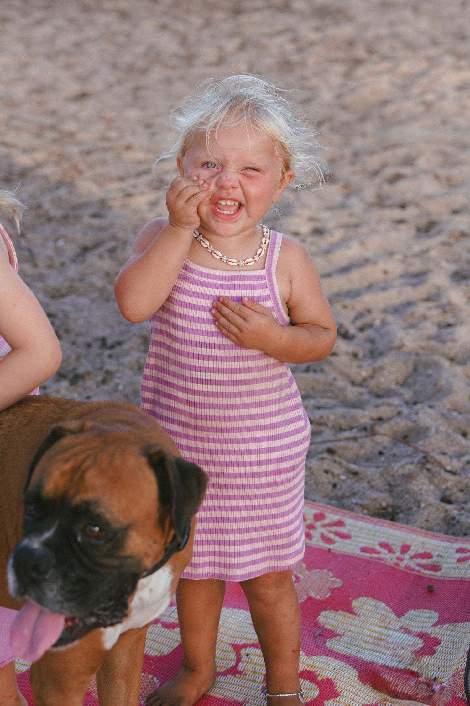 Bobbi Rib Dress - Orchid stripe