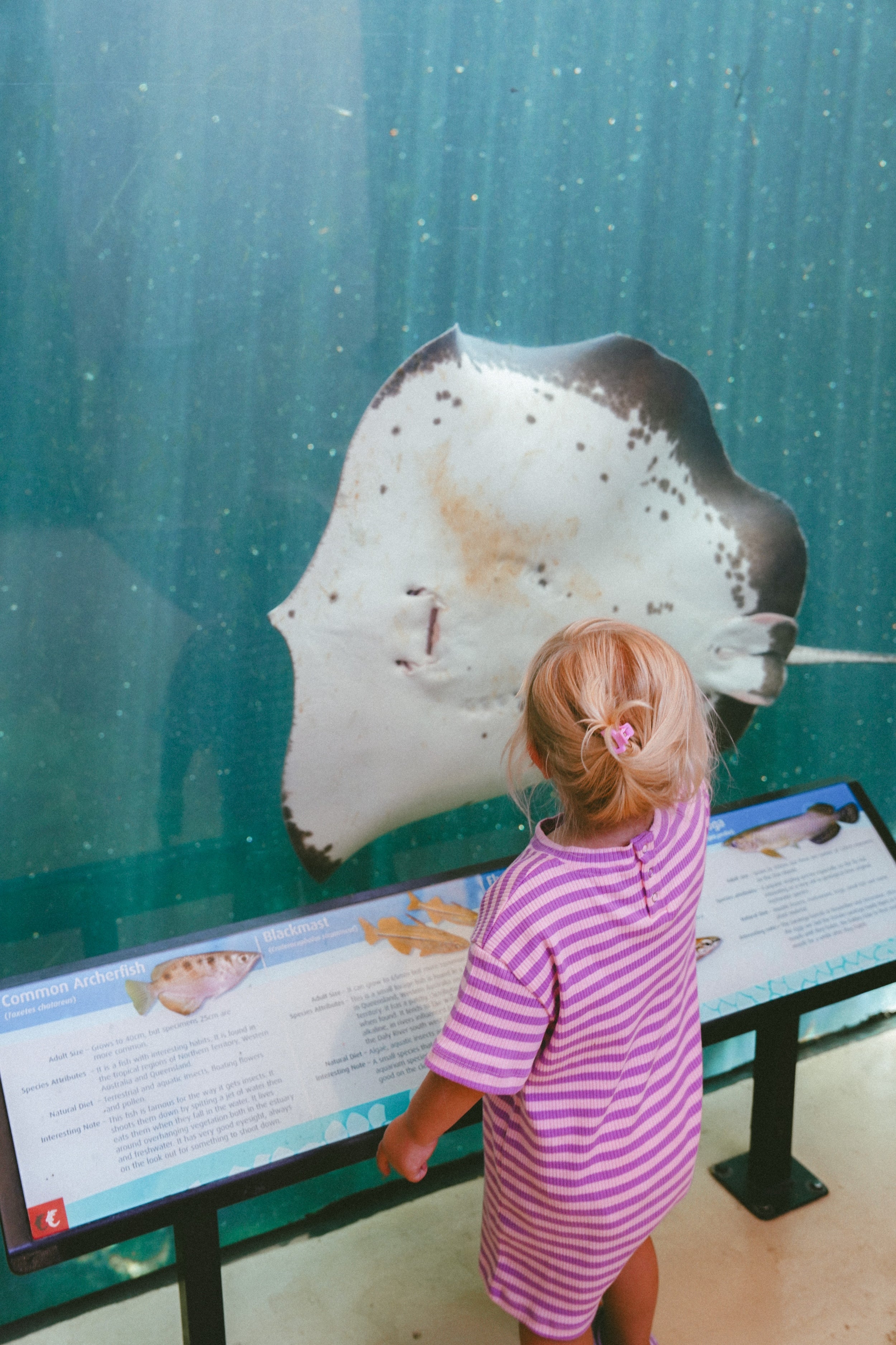 Rib Romper - Orchid stripe