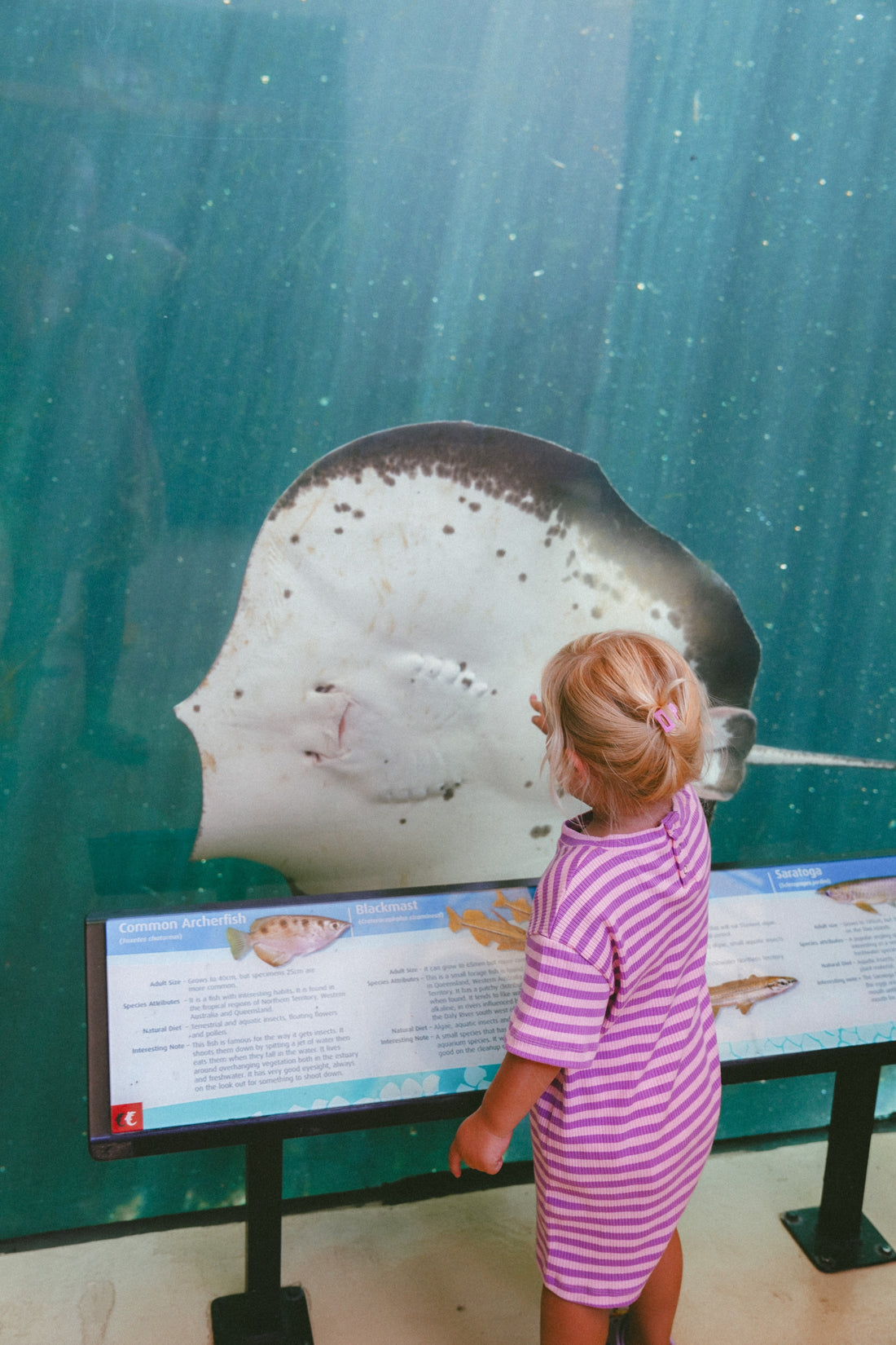 Rib Romper - Orchid stripe