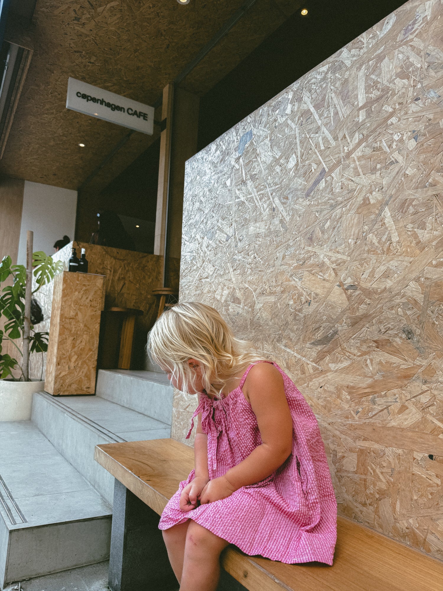 Zulu Dress - Berry stripe