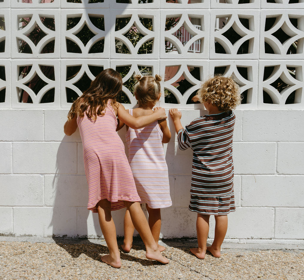 Bobbi Rib Dress - Raspberry stripe