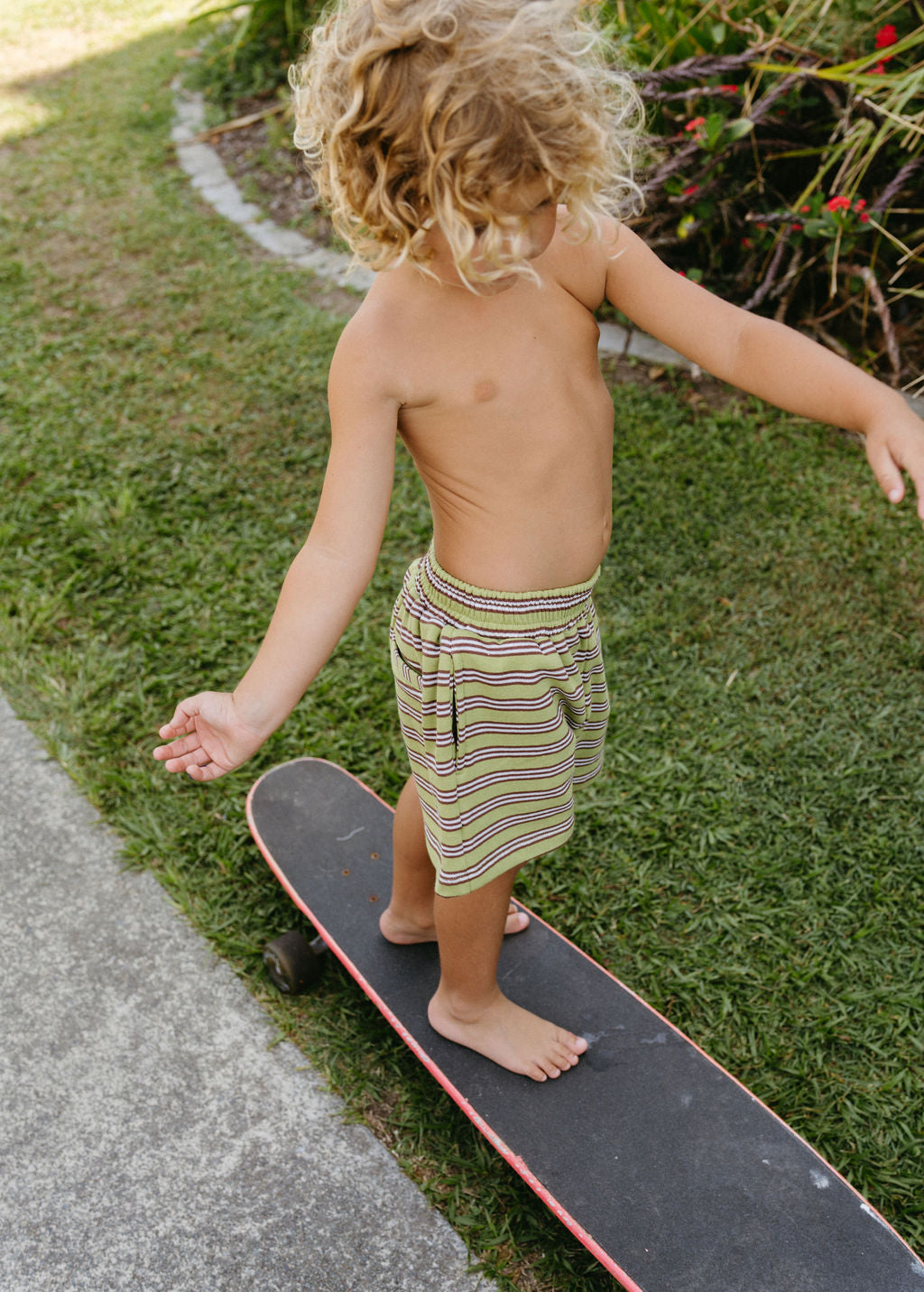 Rib Short - Bushland stripe