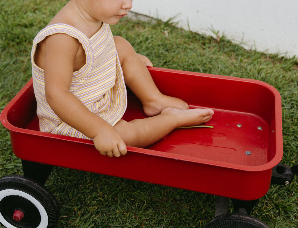 Bobbi Rib Dress - Lemonade stripe