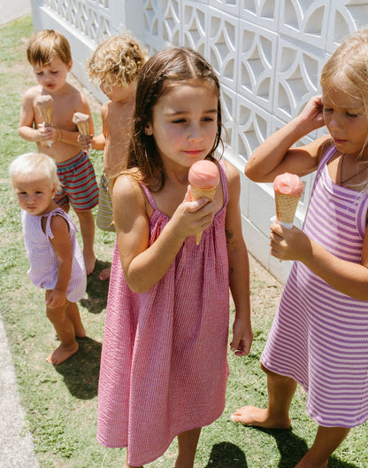 Zulu Dress - Berry stripe