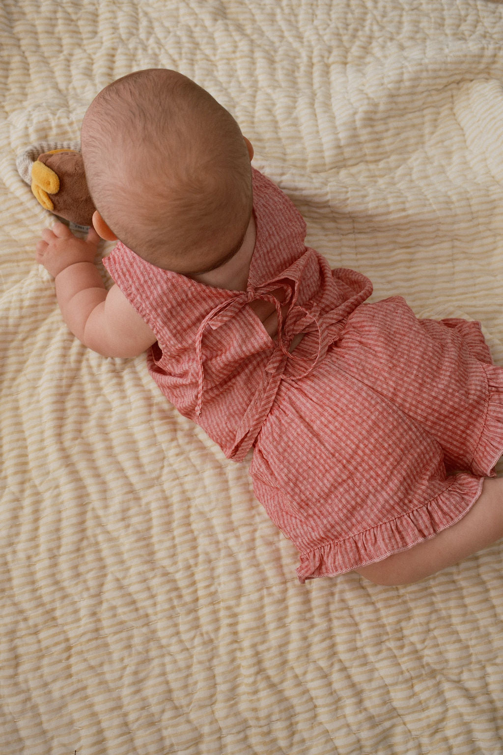 Daisy Set - Berry stripe