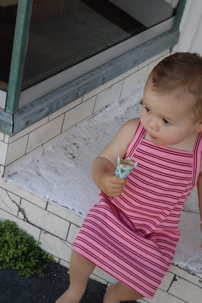 Bobbi Rib Dress - Pink and Red stripe