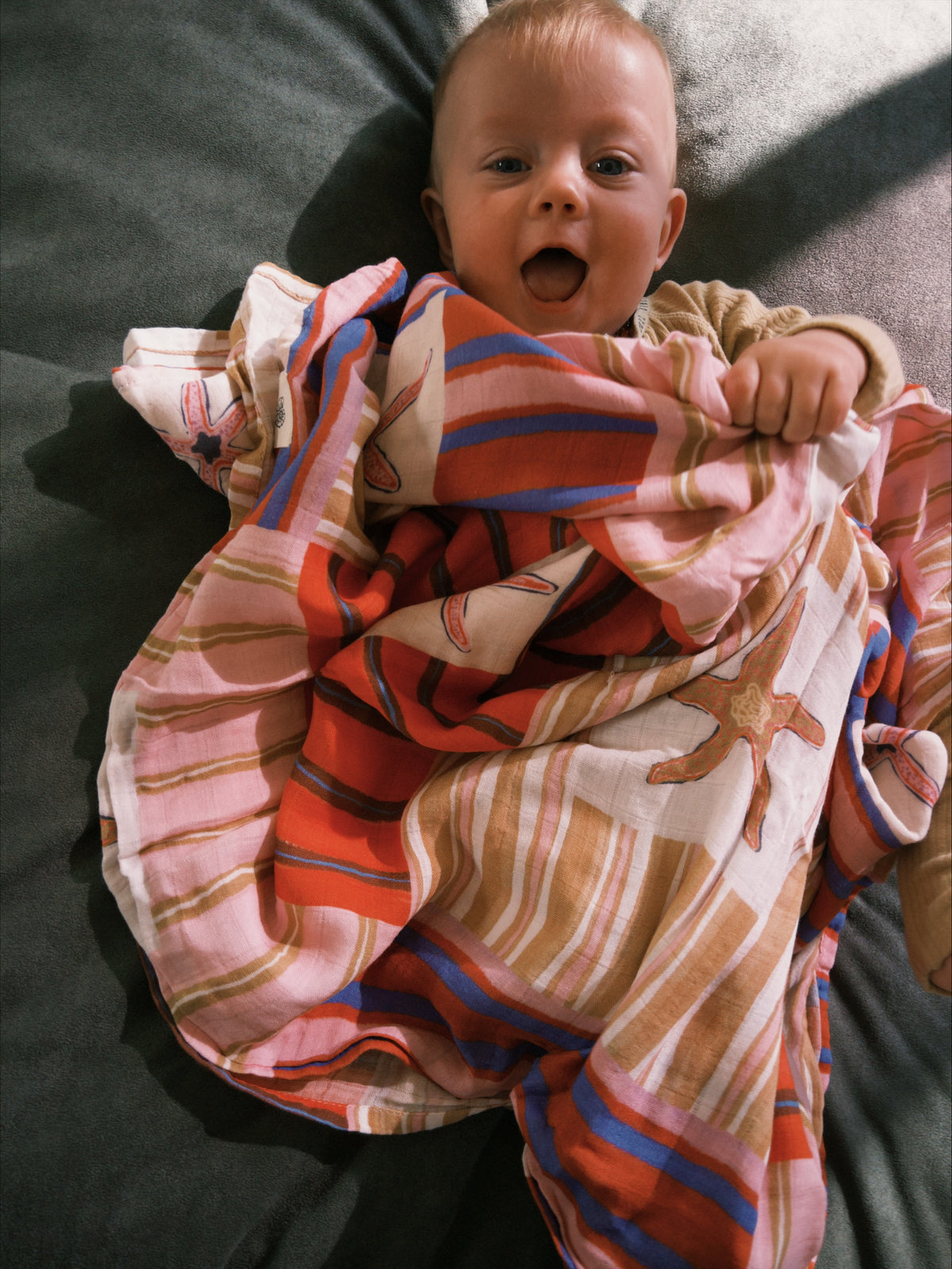 Garden Market Wrap